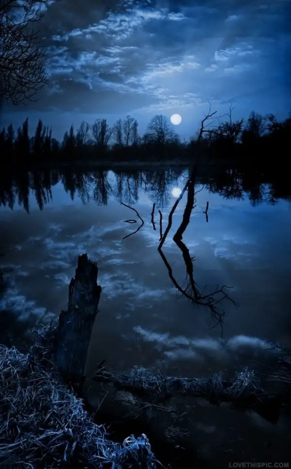 Charming Moonlight Photography Ideas and Tips