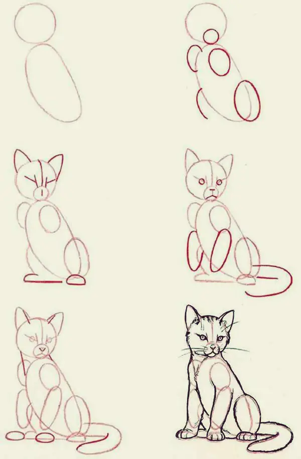 How to draw Cute Animals (11)