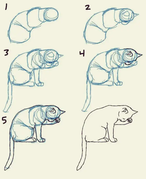 How to draw Cute Animals (20)