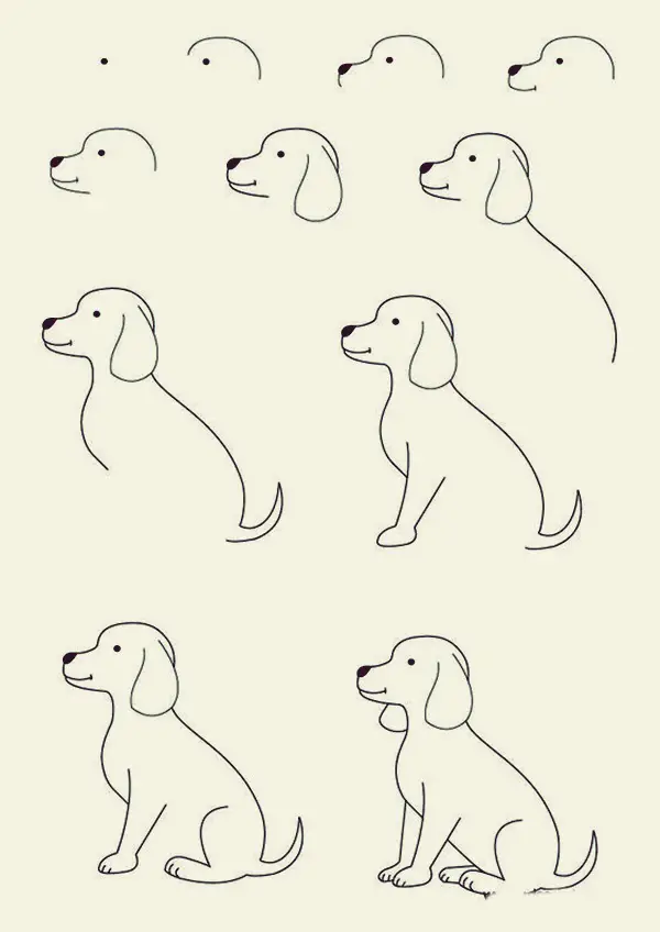 How to draw Cute Animals (46)