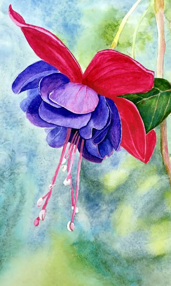 Watercolor Painting You must See (10)