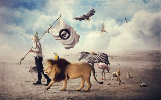 photoshop illustrator free photoshop illustrator free