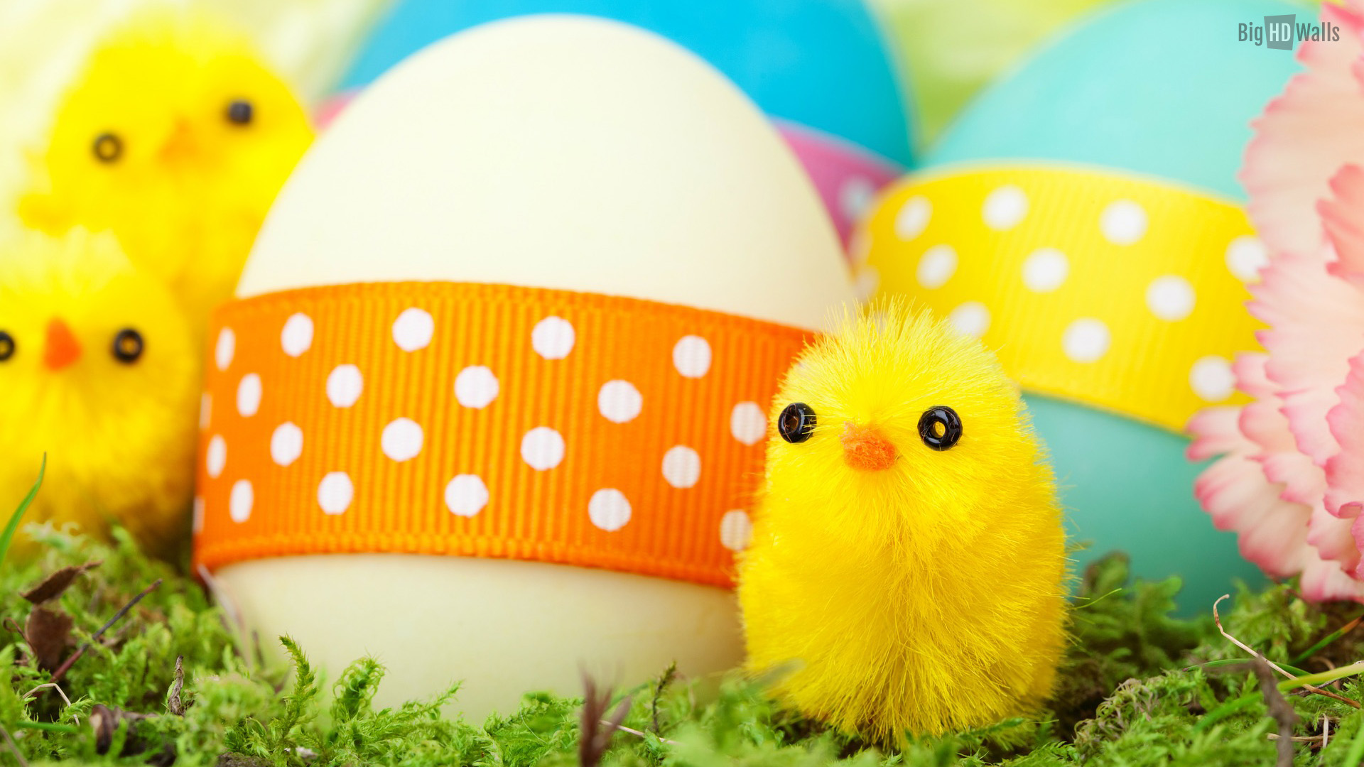Easter Backgrounds For Your Laptop (2)