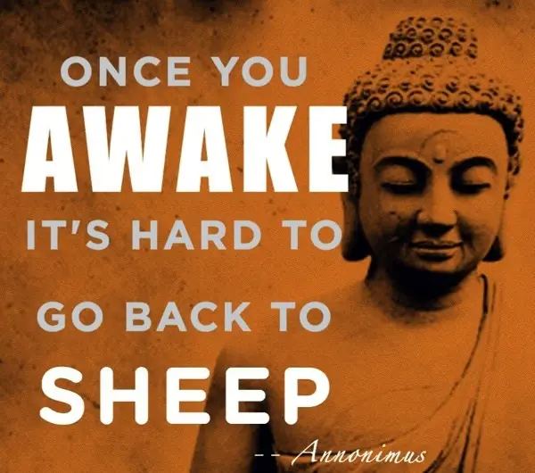 Buddha Quotes On Life,Peace and Love (10)