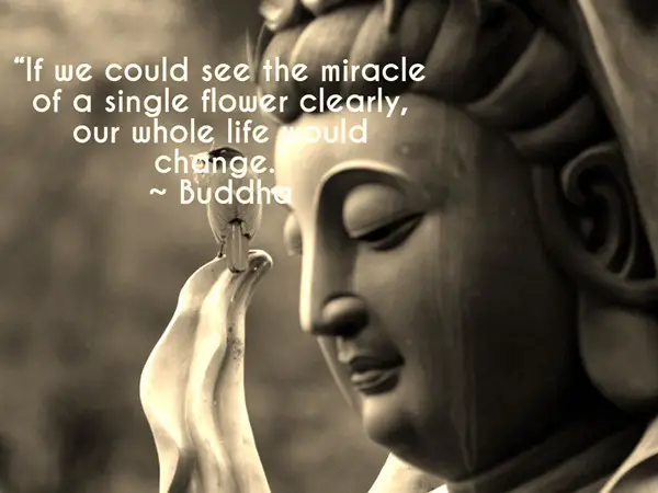 Buddha Quotes On Life,Peace and Love (12)