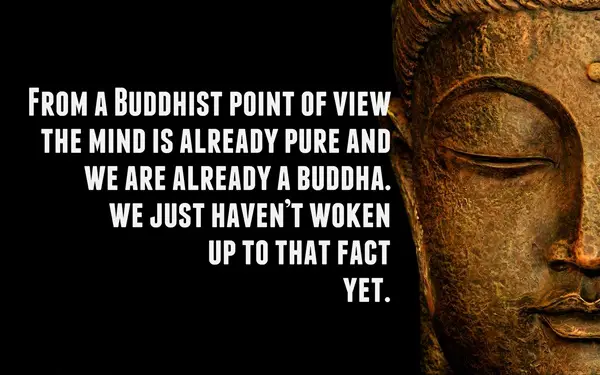 Buddha Quotes On Life,Peace and Love (21)