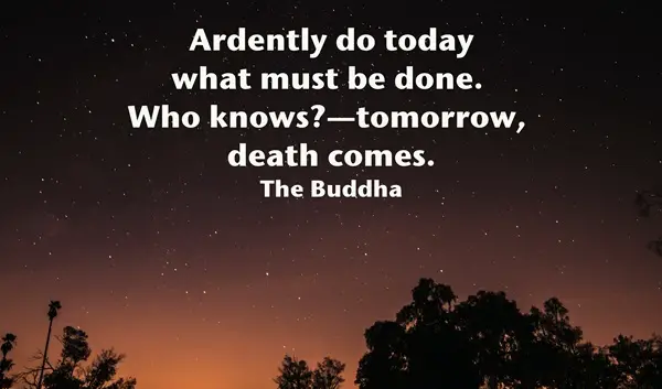Buddha Quotes On Life,Peace and Love (9)
