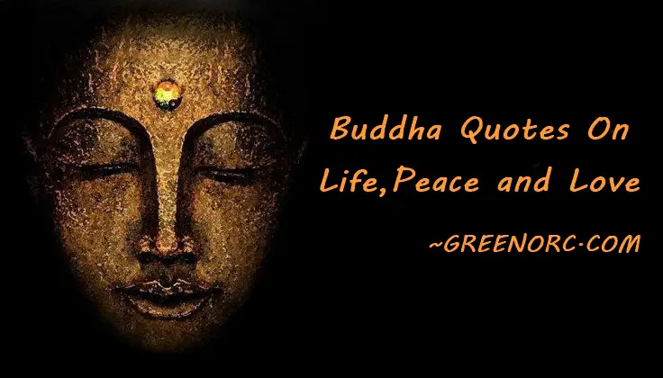 Buddha Quotes On Life,Peace and Love