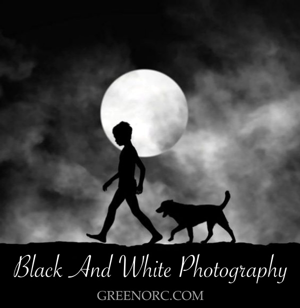 Black And White Photography001