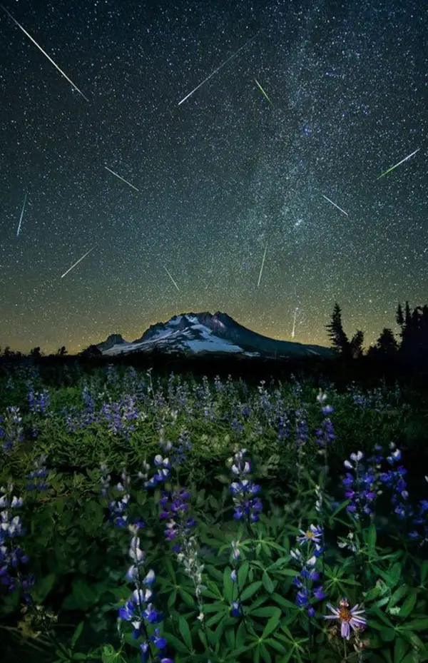 Meteor Shower Photography Ideas (2)