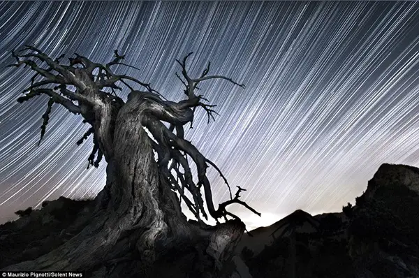 Tips to Photograph Beautiful Star Trails (27)