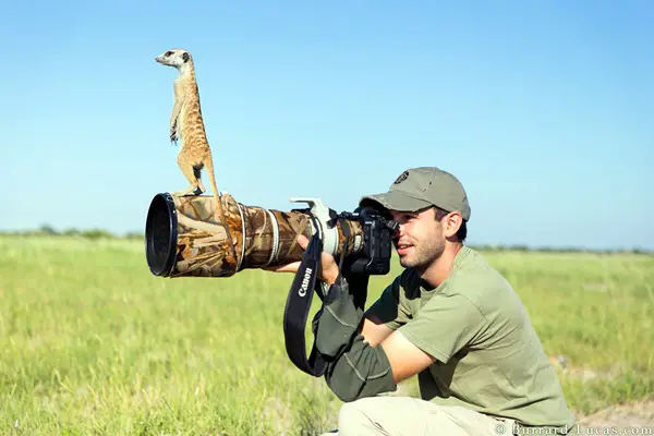 Will taking a photo with a meerkat on his lens!