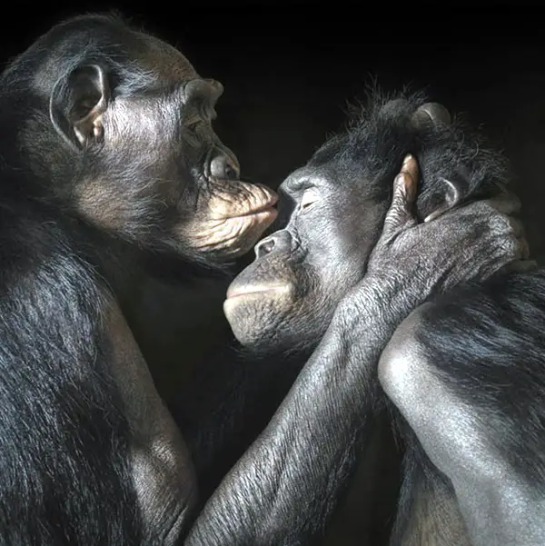 unbelievable-intimate-animal-shots-9