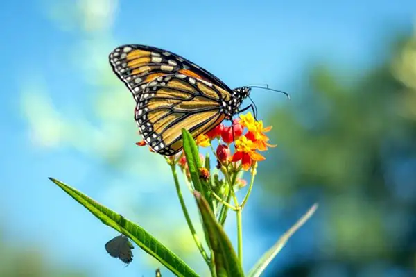 tips-to-improve-your-photography-3