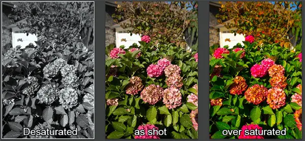 tips-to-improve-your-photography-6