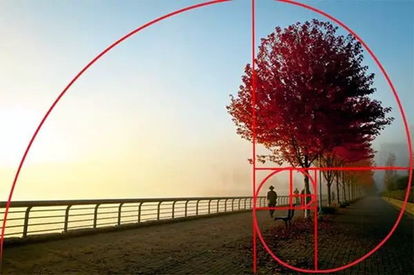tips-to-improve-your-photography-9