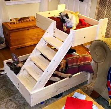 15 Fabulous Diy Dog Crate Ideas Greenorc, Dog Bunk Bed Plans With Stairs