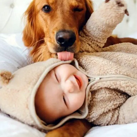 45 Cute Pictures of Babies and Dogs