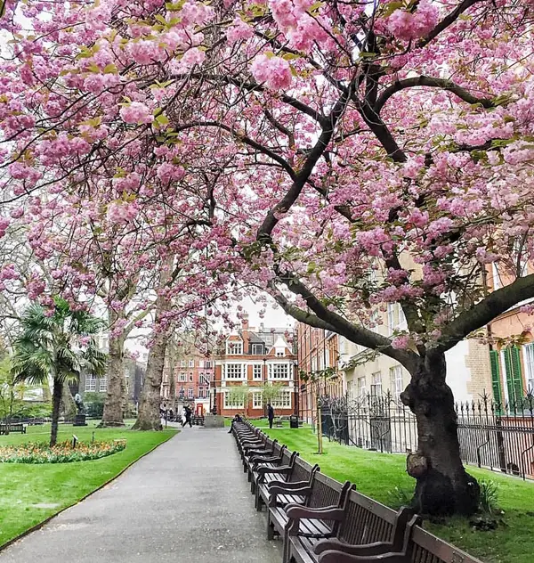 Astonishing-Pictures-of-London