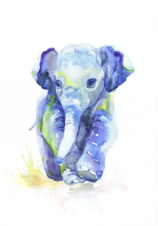 Adorable-Animal-Watercolor-Paintings