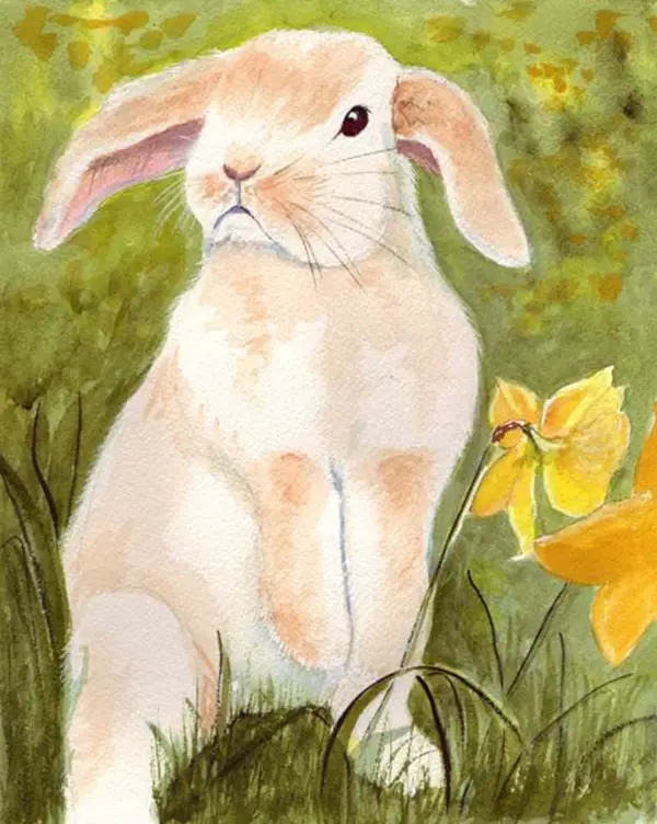 Adorable-Animal-Watercolor-Paintings