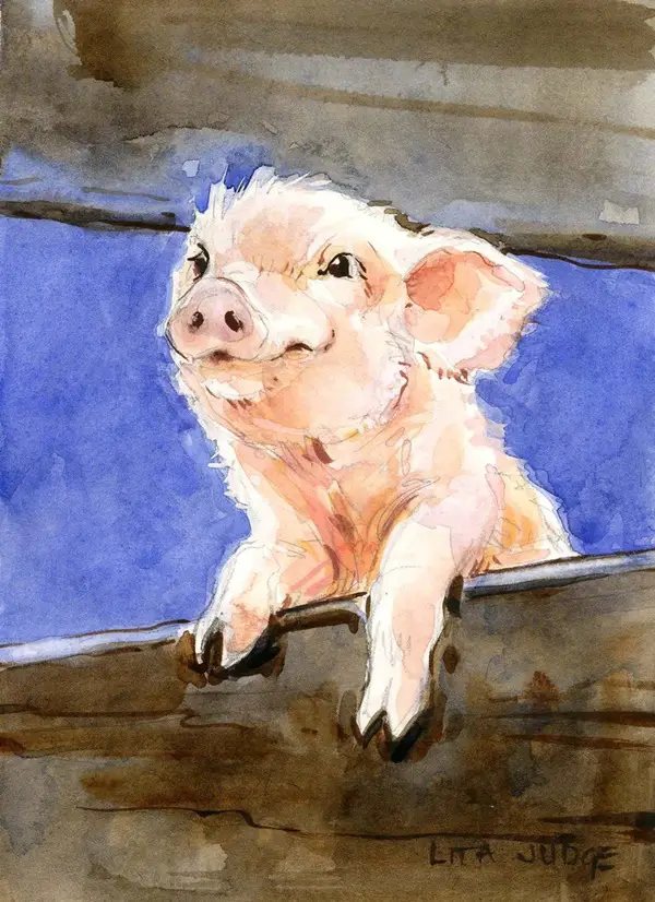 Adorable-Animal-Watercolor-Paintings