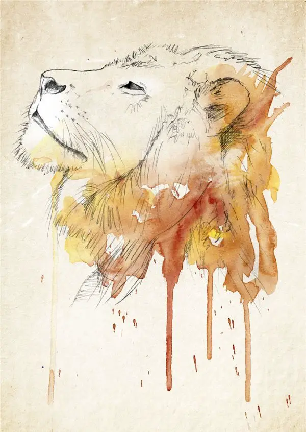 Adorable-Animal-Watercolor-Paintings