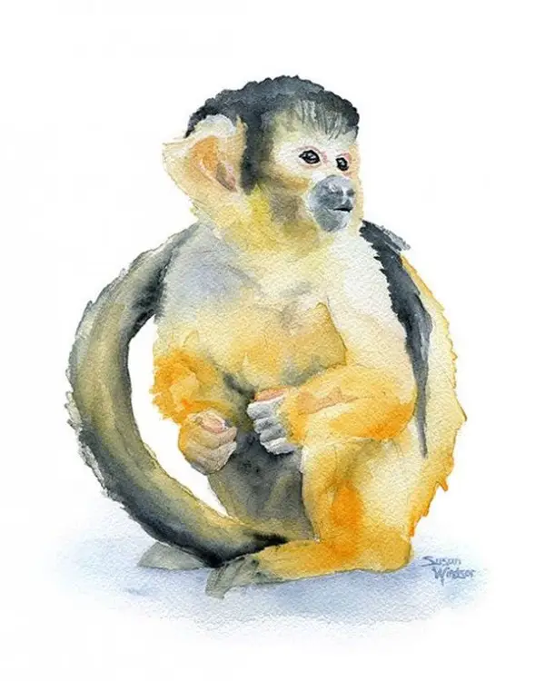 Adorable-Animal-Watercolor-Paintings