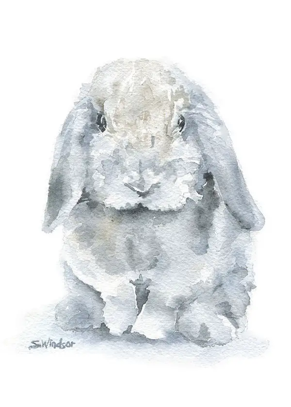 Adorable-Animal-Watercolor-Paintings