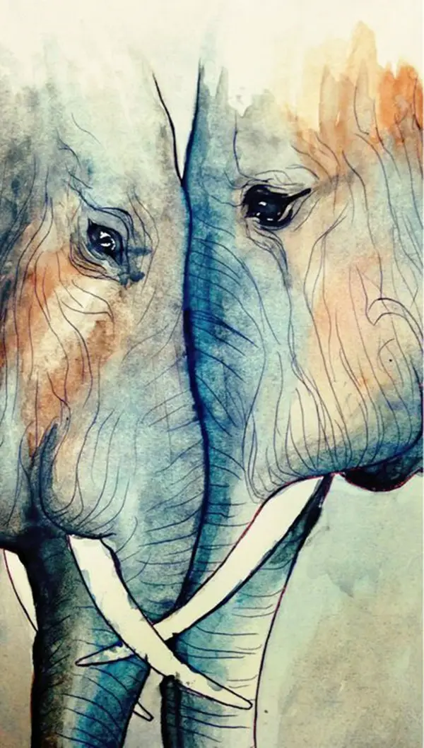 Adorable-Animal-Watercolor-Paintings