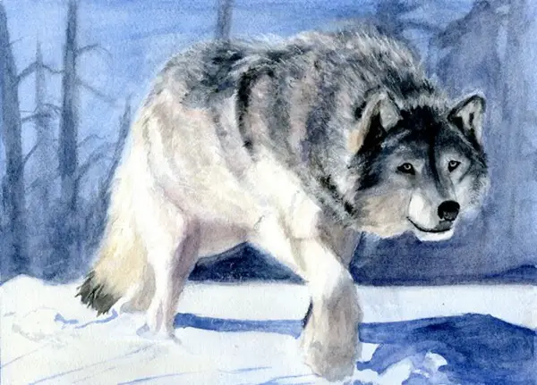 Adorable-Animal-Watercolor-Paintings