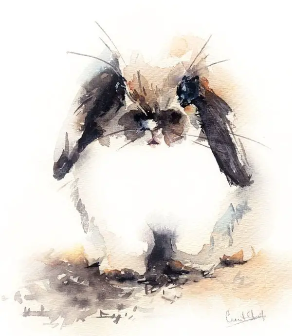 Adorable-Animal-Watercolor-Paintings