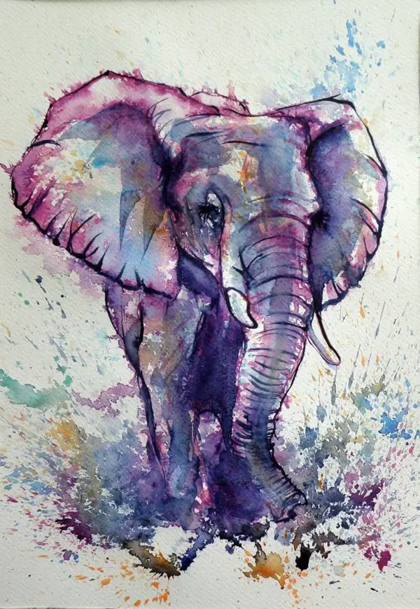 Adorable-Animal-Watercolor-Paintings