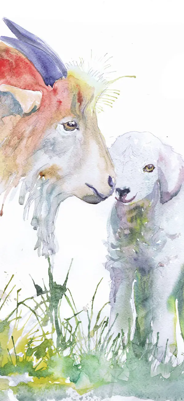 Adorable-Animal-Watercolor-Paintings