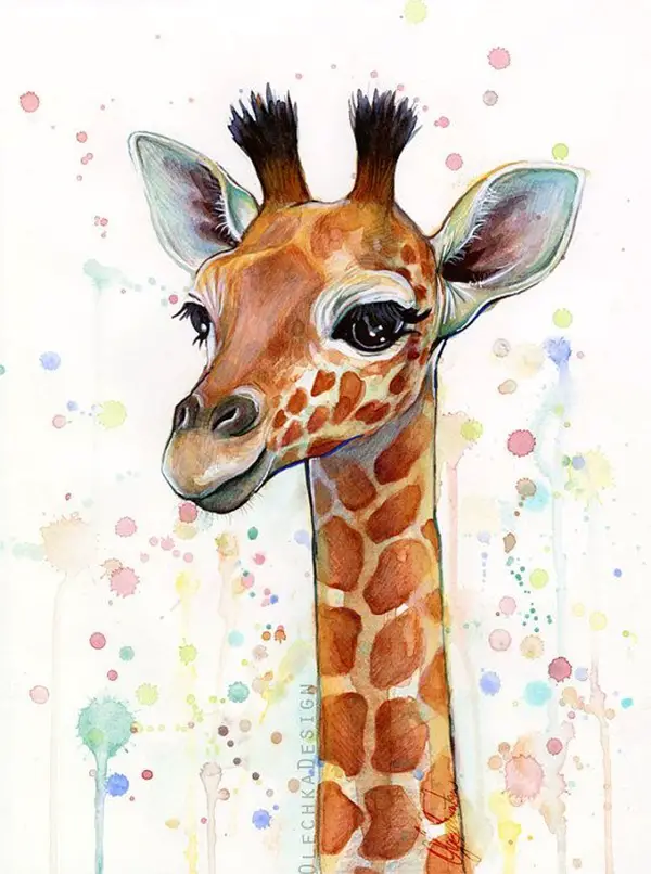 Adorable-Animal-Watercolor-Paintings