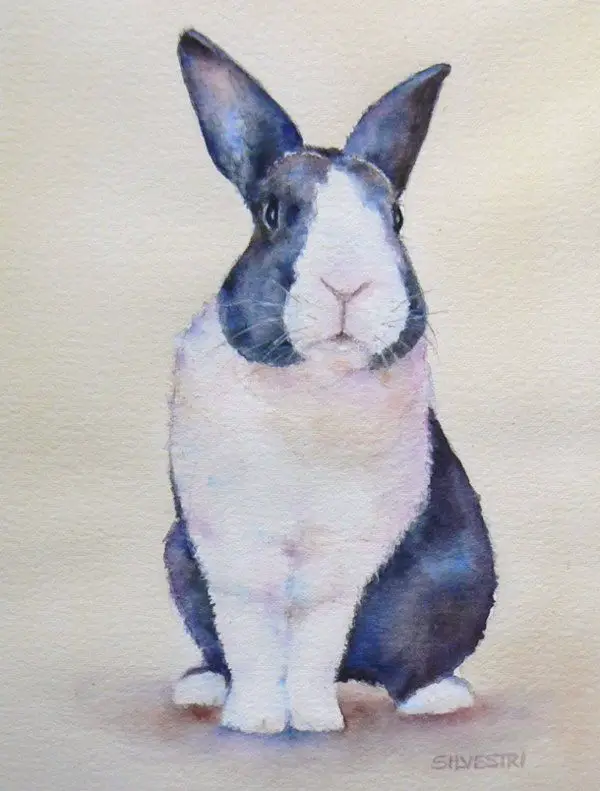 Adorable-Animal-Watercolor-Paintings