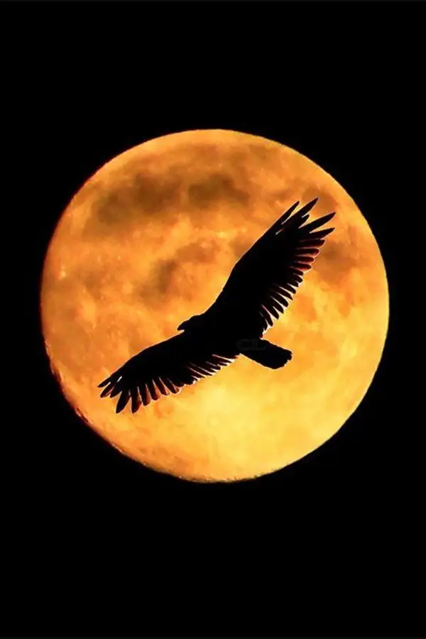 Fascinating-Full-Moon-Photography-Tips-and-Ideas