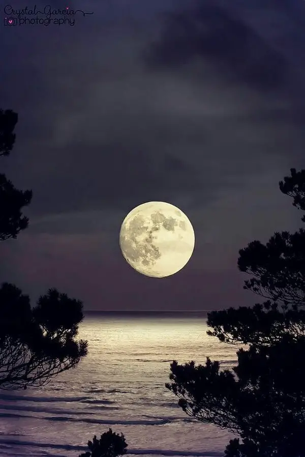Fascinating-Full-Moon-Photography-Tips-and-Ideas