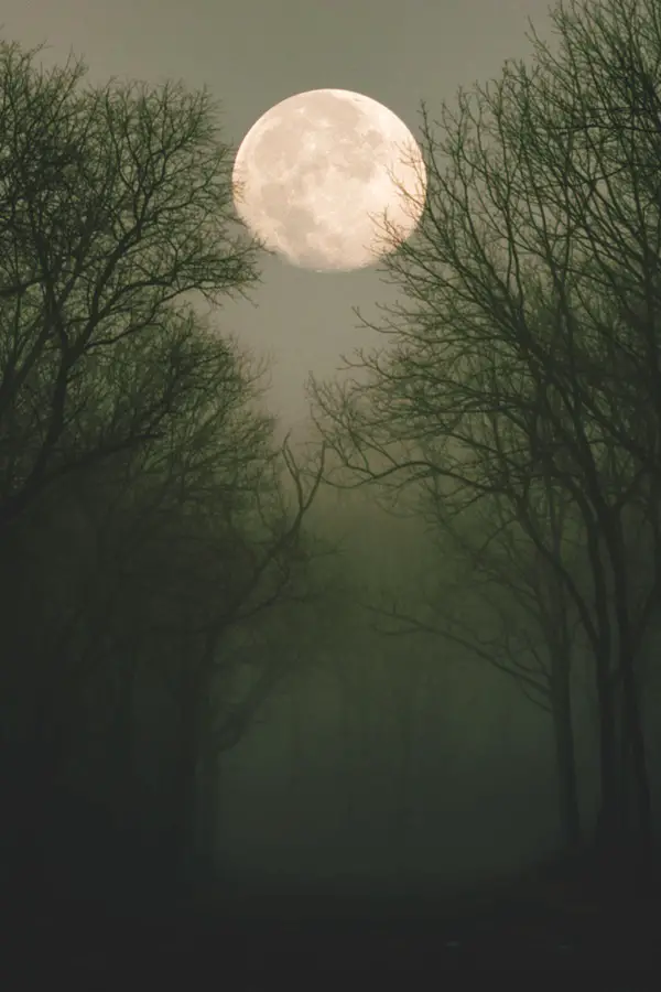 Fascinating-Full-Moon-Photography-Tips-and-Ideas