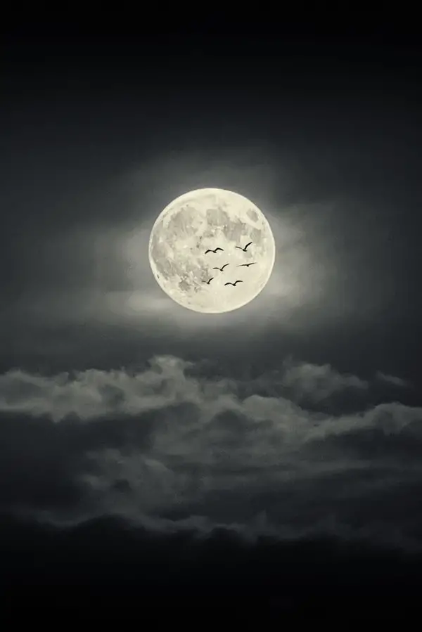 Fascinating-Full-Moon-Photography-Tips-and-Ideas