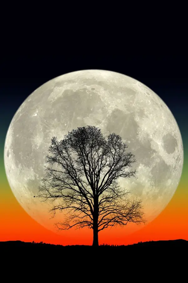 Fascinating-Full-Moon-Photography-Tips-and-Ideas