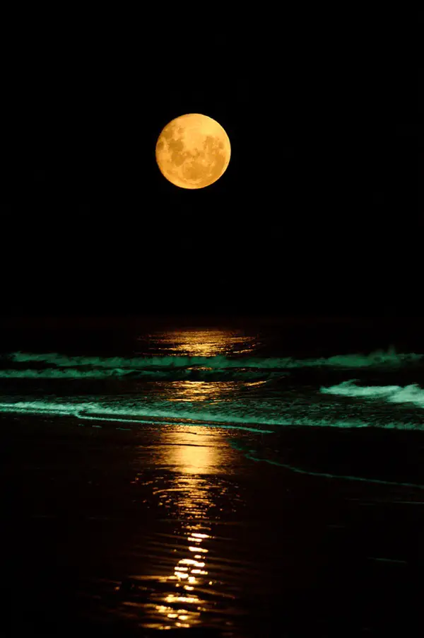 Fascinating-Full-Moon-Photography-Tips-and-Ideas