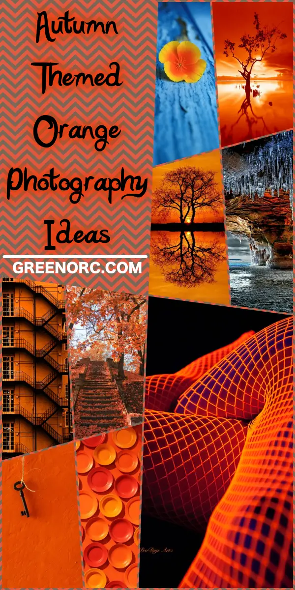 Autumn Themed Orange Photography Ideas