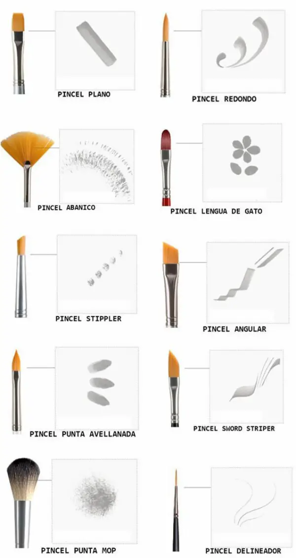 Essential Paint Brushes You Should Know About