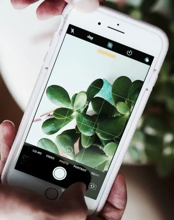 Easy Ways To Use Your iPhone For Professional Photography