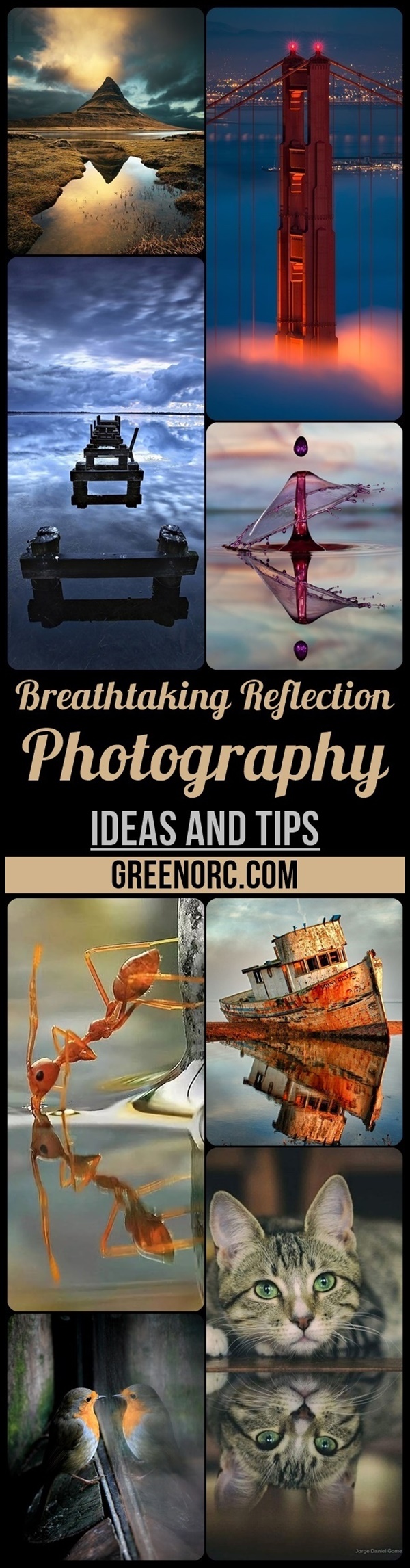 Breathtaking Reflection Photography Ideas and Tips