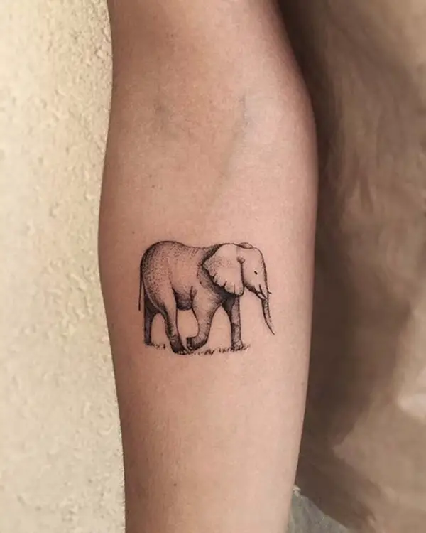 Tattoo tagged with: healed, black and grey, elephant, georgikodzhabashev,  animal, facebook, twitter, other, upper arm | inked-app.com