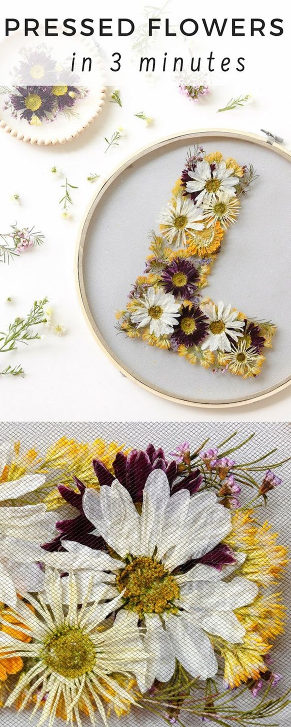 DIY Dried And Pressed Flower Home Decorations