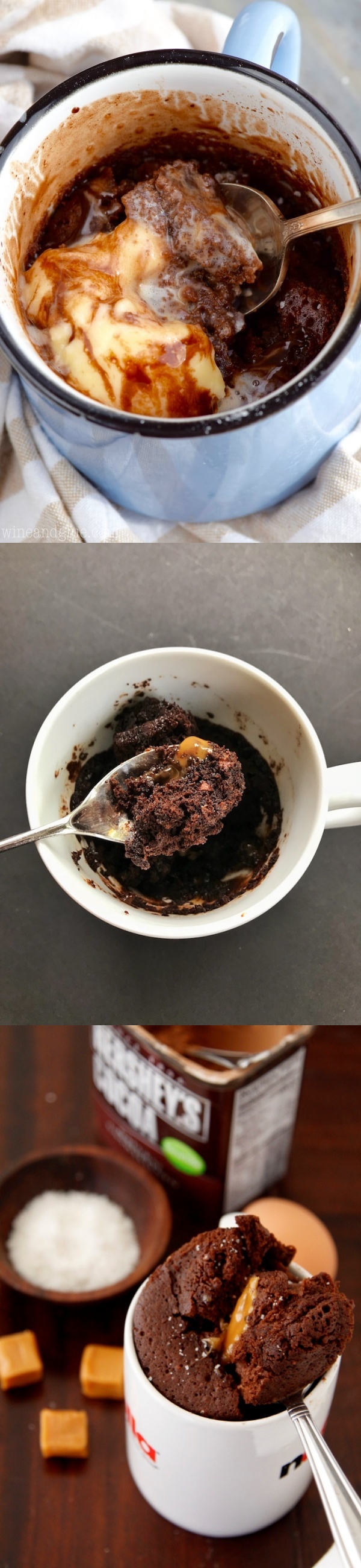 Moist And Delicious Mug Cake Recipes
