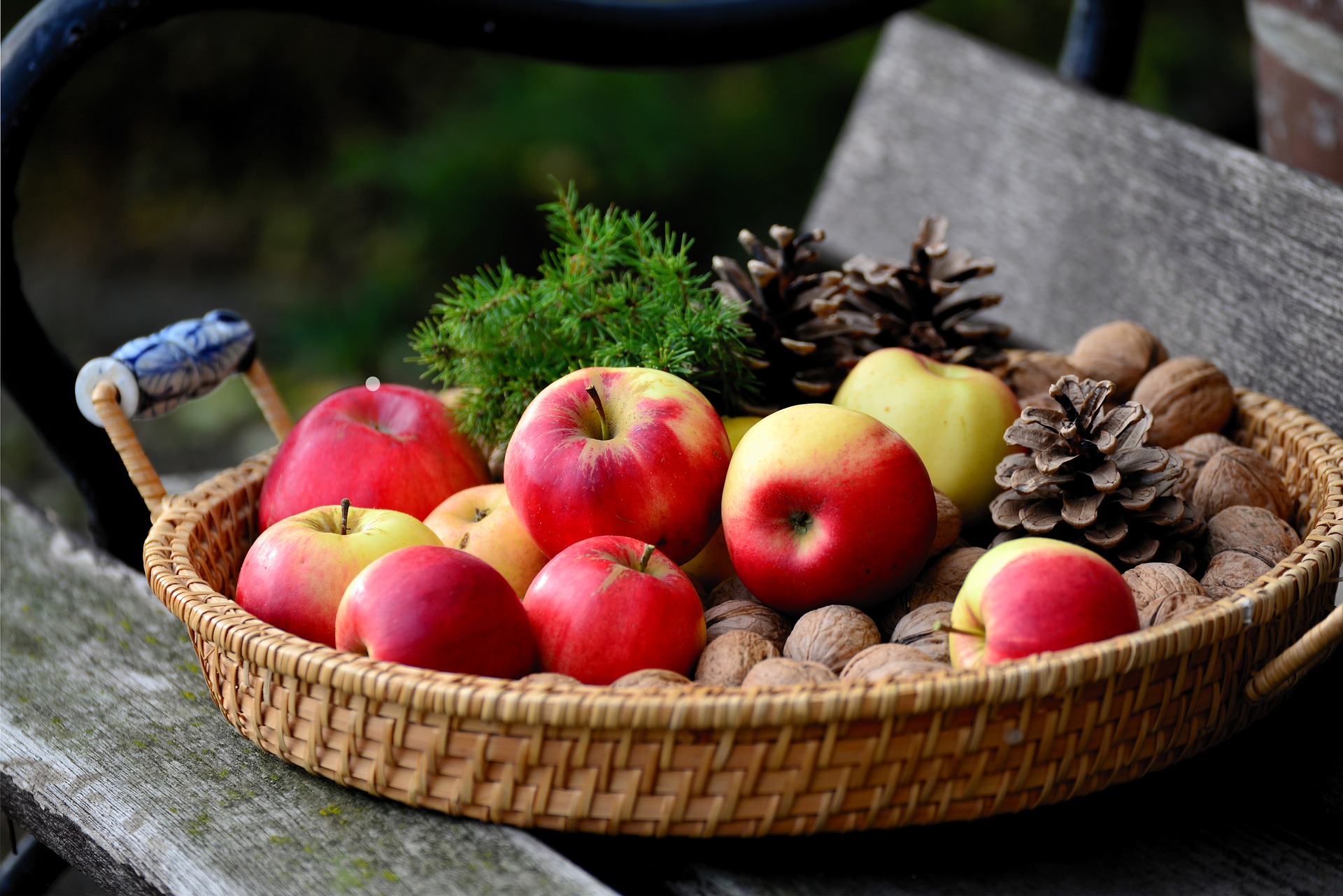 A cane basket full of apples and walnuts